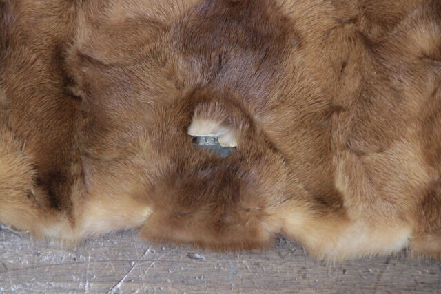 
					brandnew_2026_01_30_00591