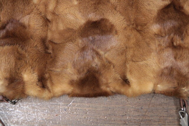 
					brandnew_2026_03_01_00833