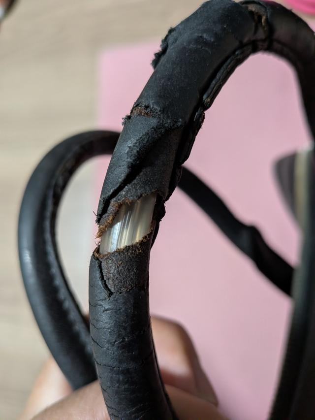 https://grandmako.com/contact/mailplus/menbers/20260506093455PXL_20260506_002828418.MACRO_FOCUS.jpg 